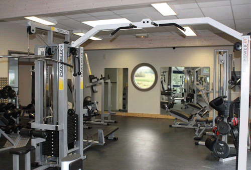 Musculation Musculation